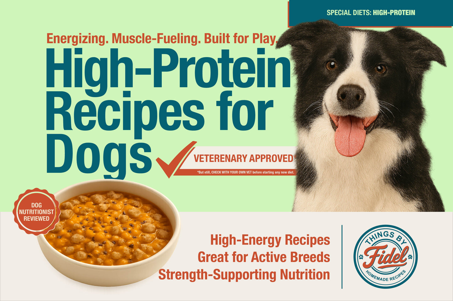 TBF’s Special Diet Recipes - High Protein