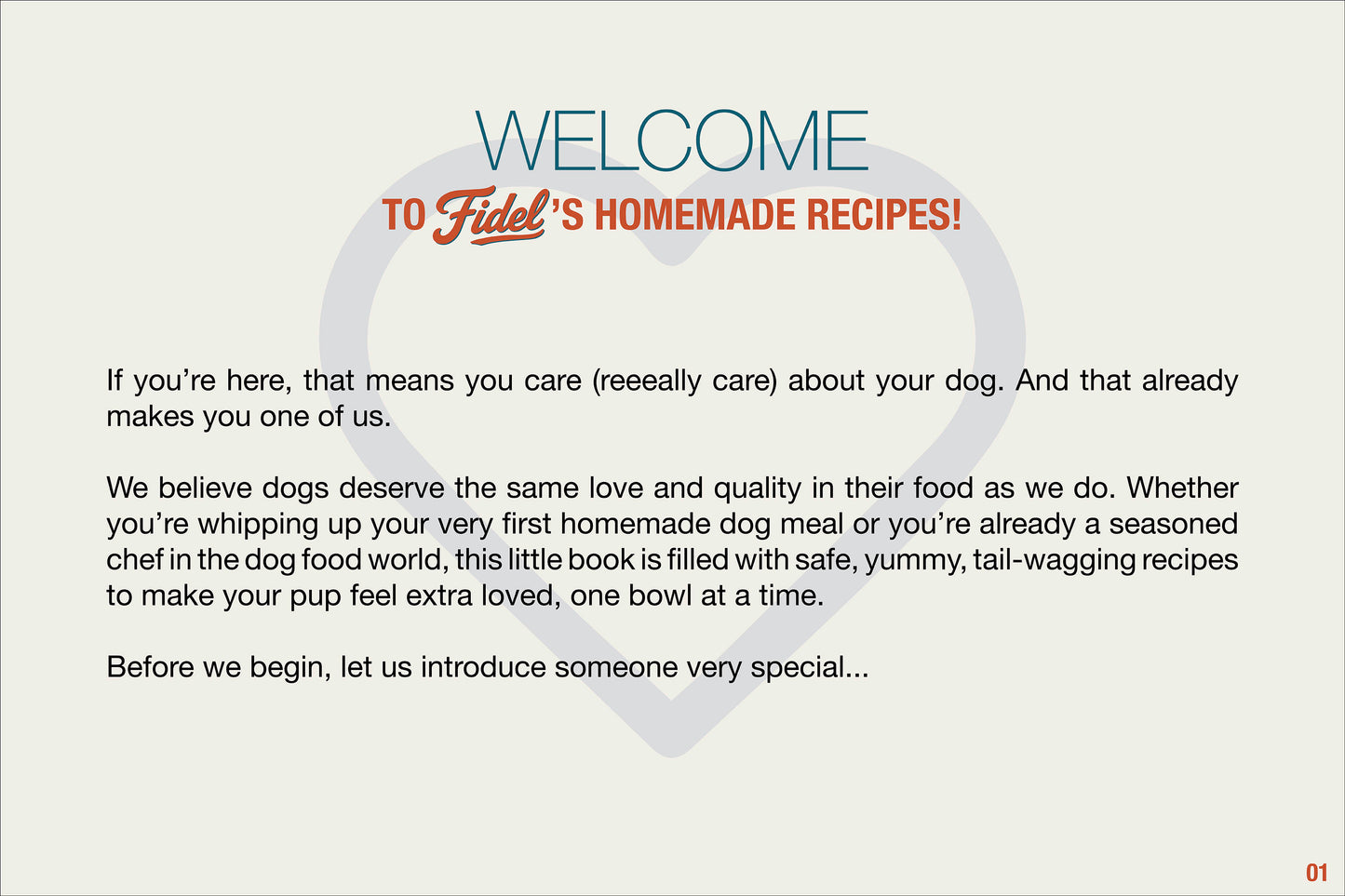 Bundle - Healthy Add-Ons (Full 3 Books) + 1 Gourmet Book