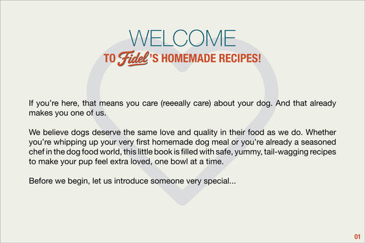 Bundle - Essential Recipes (Full 4 Books) + 1 Gourmet Book