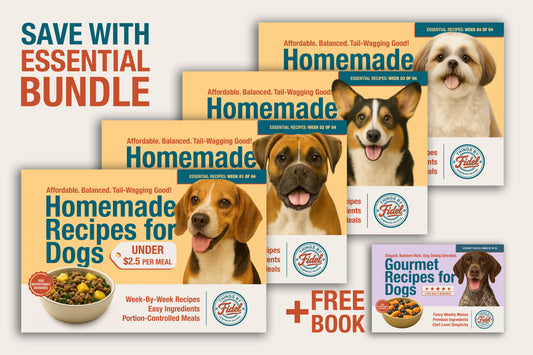 Bundle - Essential Recipes (Full 4 Books) + 1 Gourmet Book