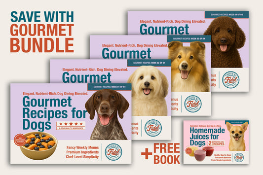 Bundle - Gourmet Recipes (Full 4 Books) + 1 Healthy Add-Ons Book (Juices)
