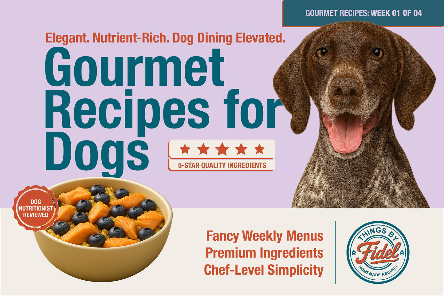 TBF’s Gourmet Recipes - Week 01