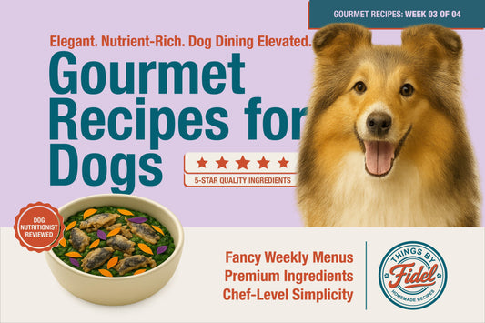 TBF’s Gourmet Recipes - Week 03