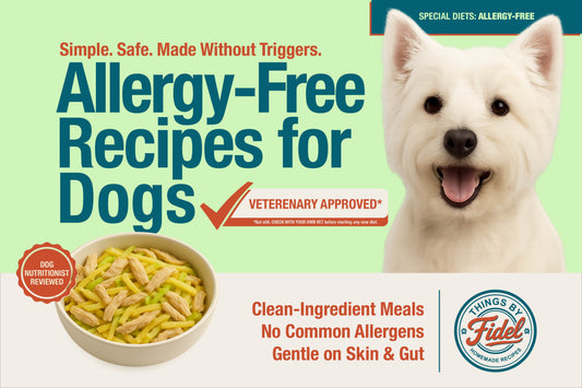 TBF’s Special Diet Recipes - Allergy Free