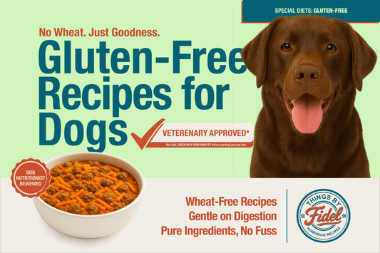 TBF’s Special Diet Recipes - Gluten Free