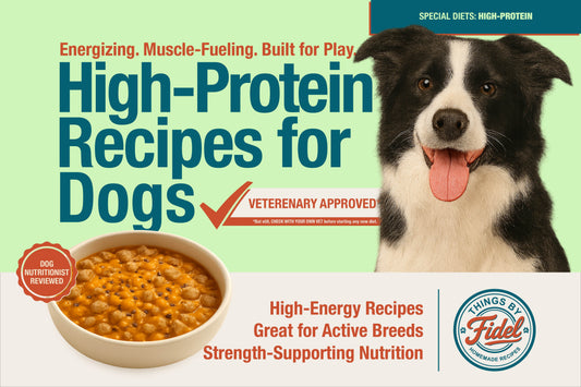 TBF’s Special Diet Recipes - High Protein