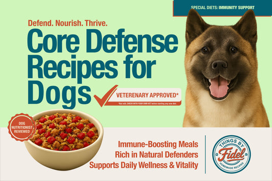 TBF’s Special Diet Recipes - Immunity Support