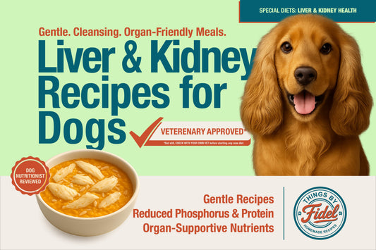 TBF’s Special Diet Recipes - Liver & Kidney Health
