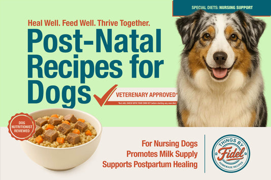 TBF’s Special Diet Recipes - Nursing Support