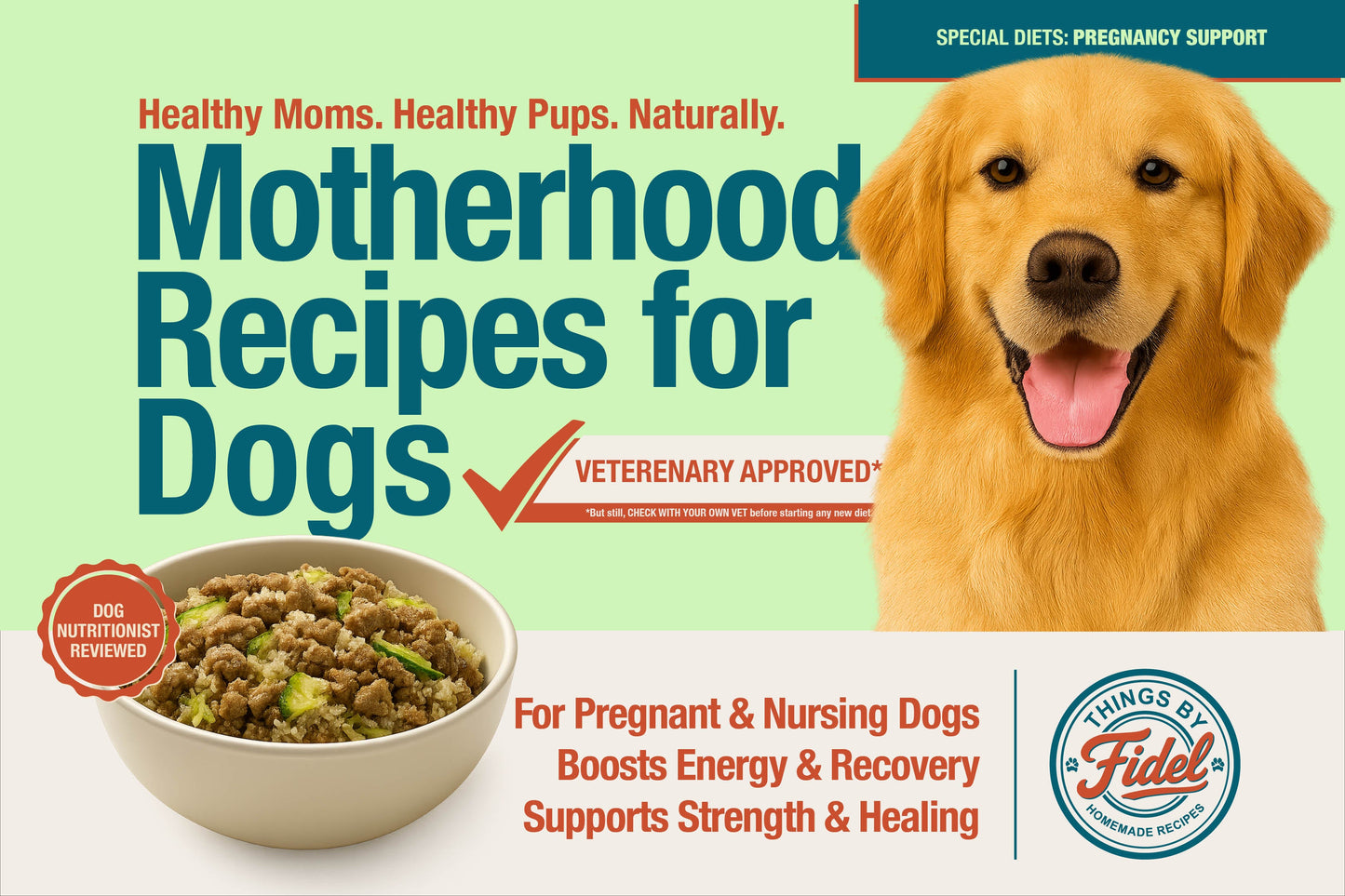 TBF’s Special Diet Recipes - Pregnancy Support