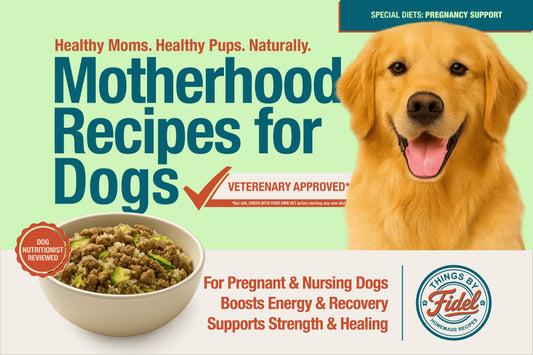 TBF’s Special Diet Recipes - Pregnancy Support