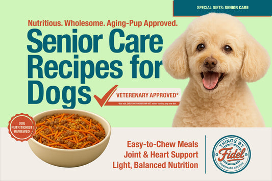 TBF’s Special Diet Recipes - Senior Care